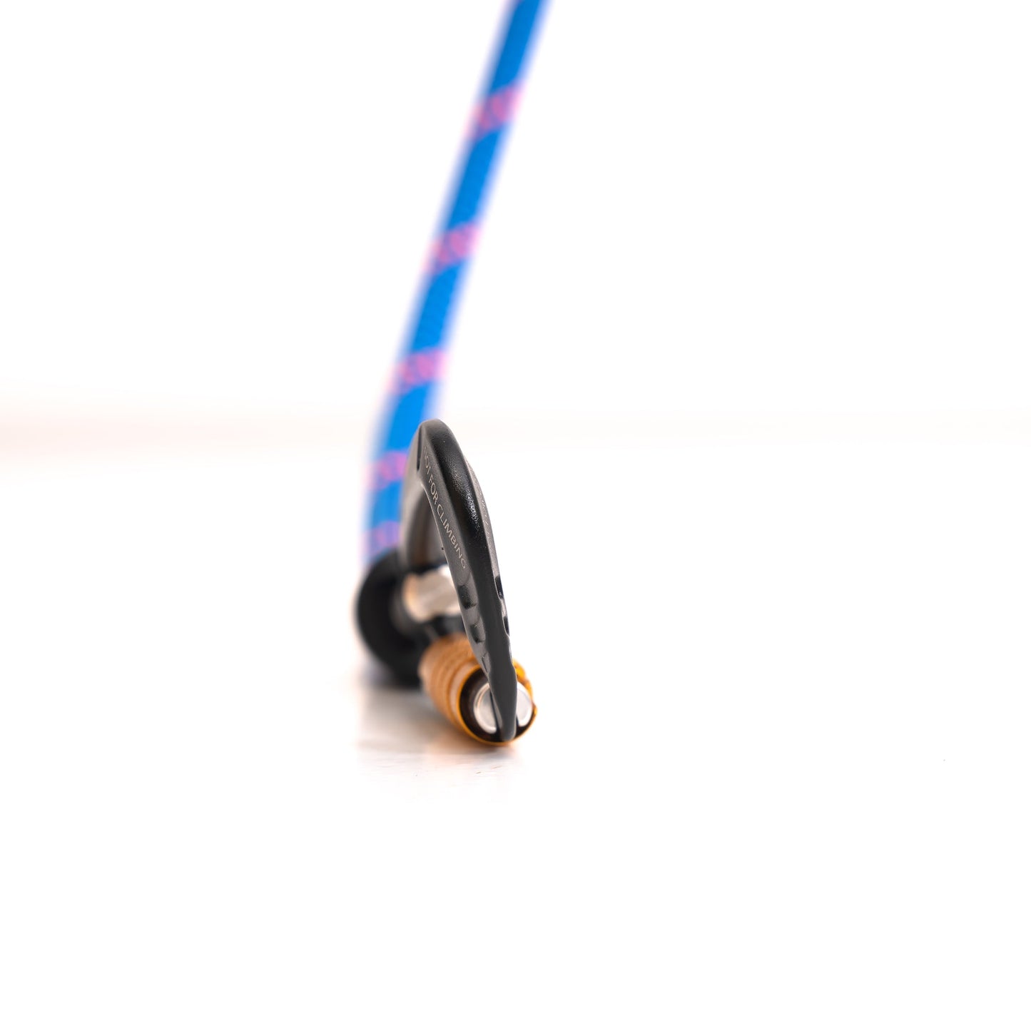 Tuenne Customizable Boulder Hybrid Dog Leash