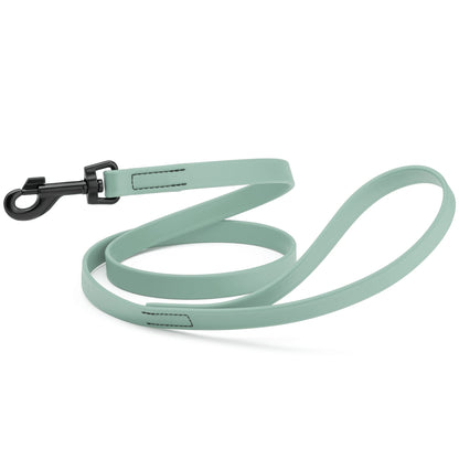 Biothane Waterproof Dog Leash, 4 ft