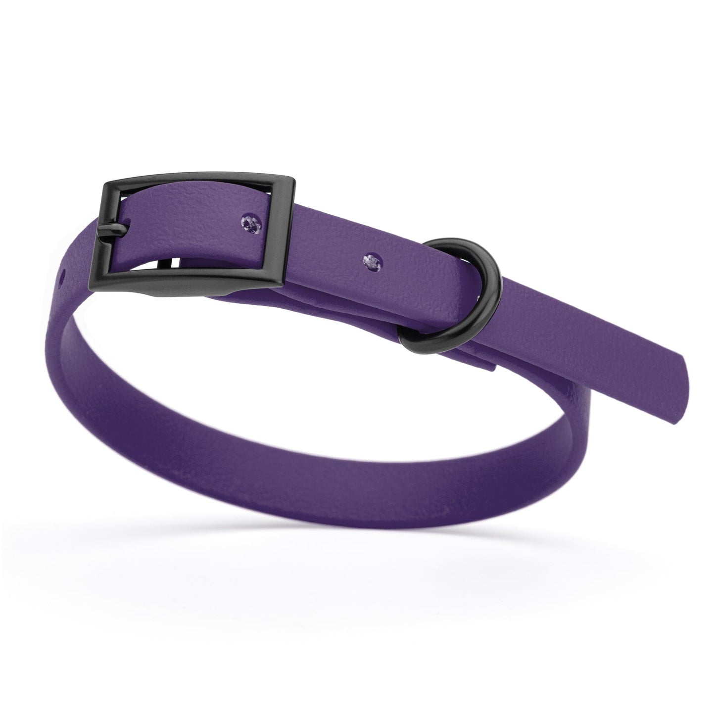 BioThane Waterproof Dog Collar - XS: L 9"-12" x W 1/2" - Black OR Brass Hardware