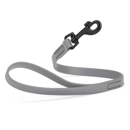 Biothane Waterproof Traffic Lead for Dogs, 2 ft