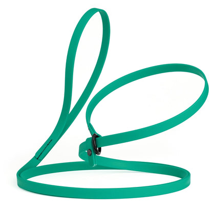 Biothane Slip Lead for Dogs, 5FT and 7FT