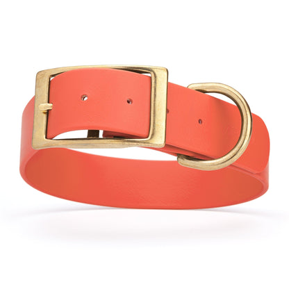 Viper Biothane Waterproof Dog Collar - Brass Hardware - 1.5in Wide, Size XXL (24 to 28 inches)