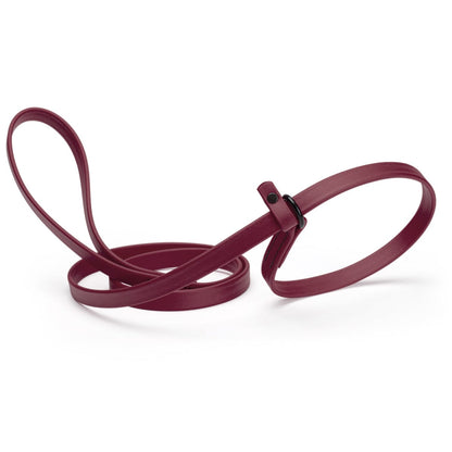 Biothane Slip Lead for Dogs, 5FT and 7FT