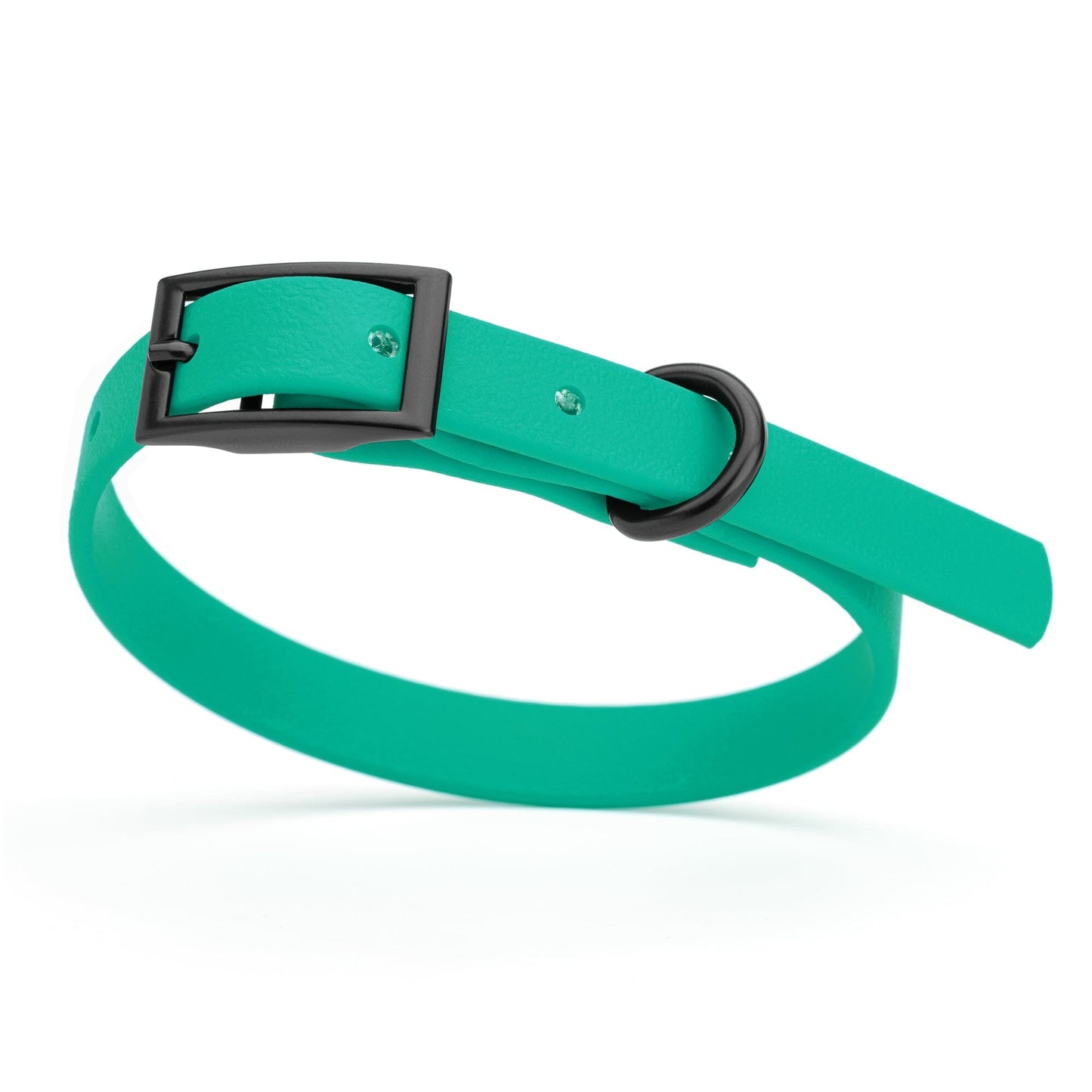 BioThane Waterproof Dog Collar - XS: L 9"-12" x W 1/2" - Black OR Brass Hardware