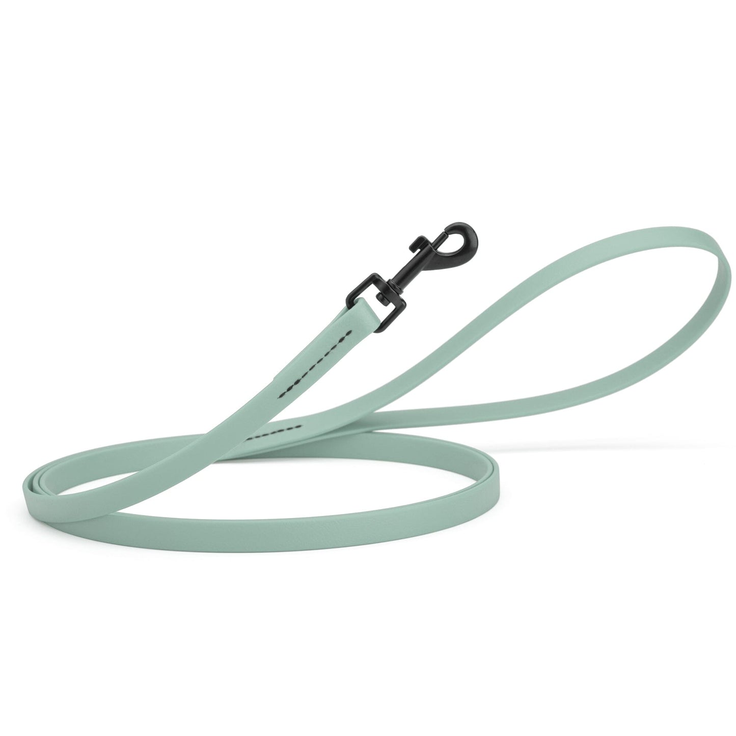 Biothane Waterproof Dog Leash, 4 ft