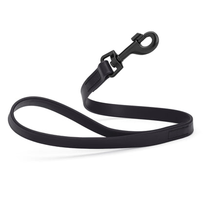 Biothane Waterproof Traffic Lead for Dogs, 2 ft
