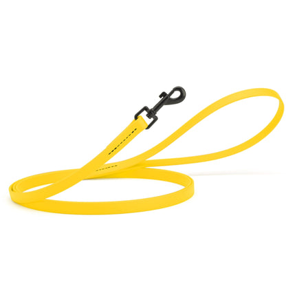 Biothane Waterproof Dog Leash 6 ft