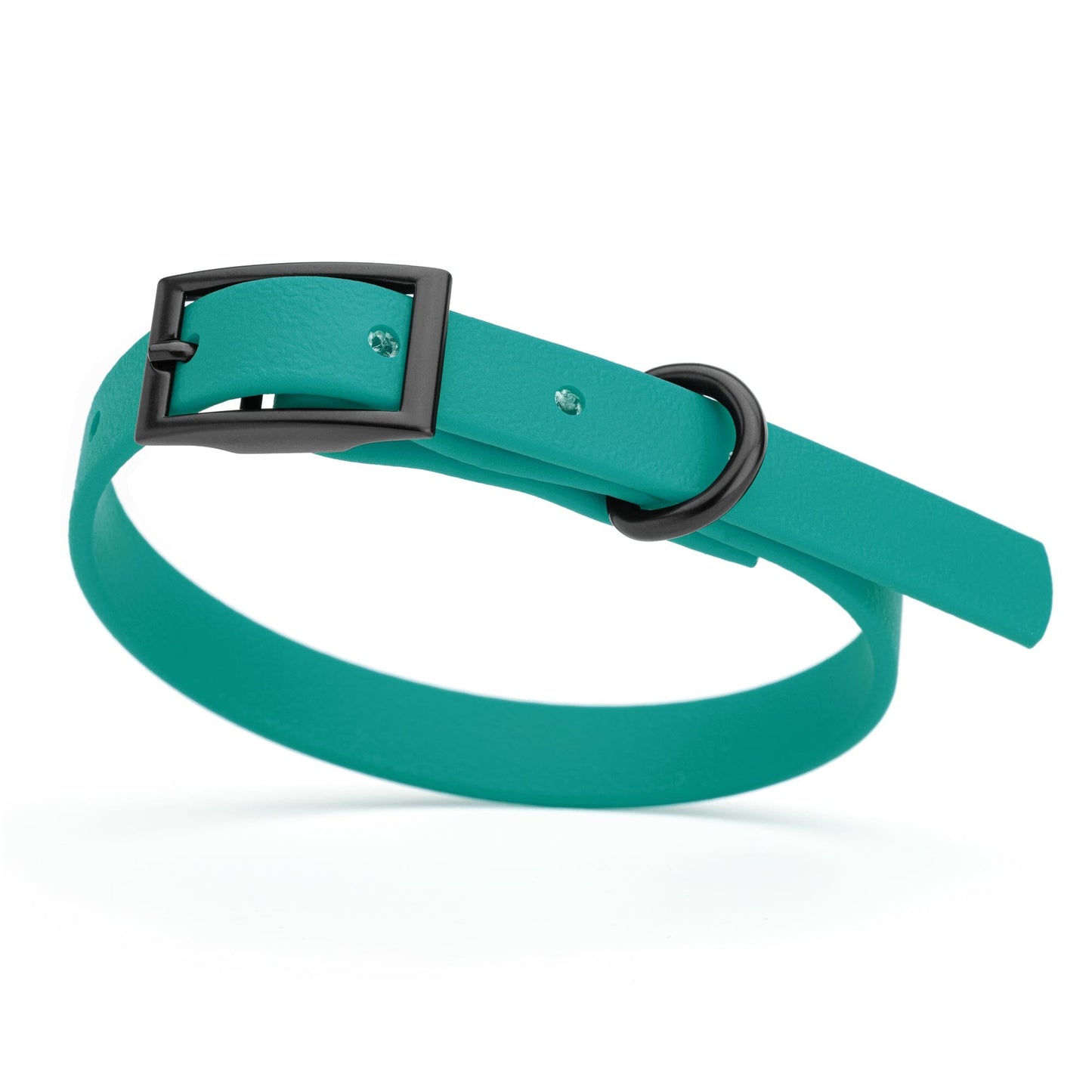 BioThane Waterproof Dog Collar - XS: L 9"-12" x W 1/2" - Black OR Brass Hardware