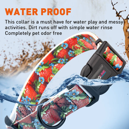 Dogline Biothane Full Color Design Printed Dog Collar with Quick Release Buckle