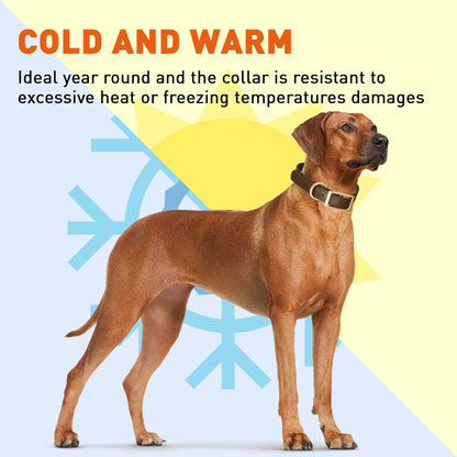 Viper Biothane Waterproof Dog Collar - Brass Hardware - 1.5in Wide, Size L (16 to 20 inches)