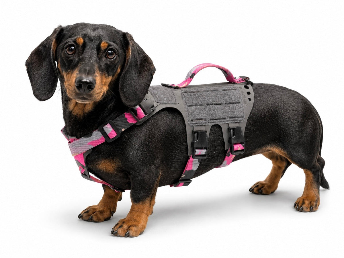K9R - D5 MOLLE Light Harness