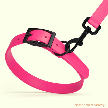 Biothane Waterproof Dog Collar - X-Small (9 to 12 inches)