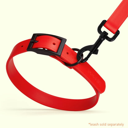 Biothane Waterproof Dog Collar - Medium (15 to 18 inches)