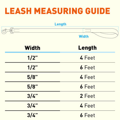 Biothane Waterproof Dog Leash, 4 ft