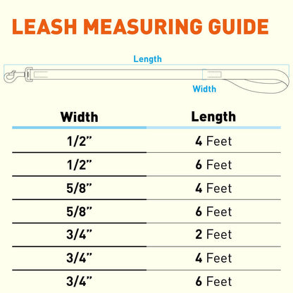 Biothane Waterproof Dog Leash 6 ft