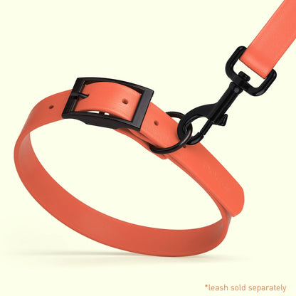 Biothane Waterproof Dog Collar - 1.5in Wide - Large (16 to 20 inches)