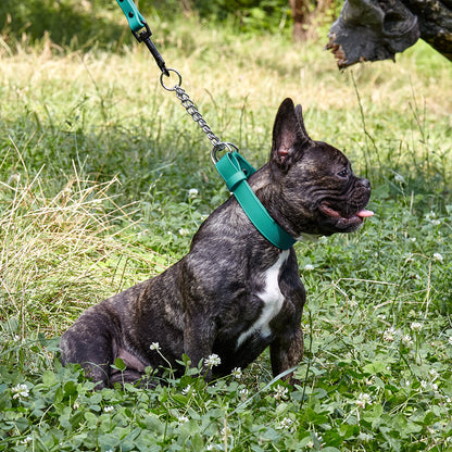 Biothane Adjustable Martingale Collar for Dogs