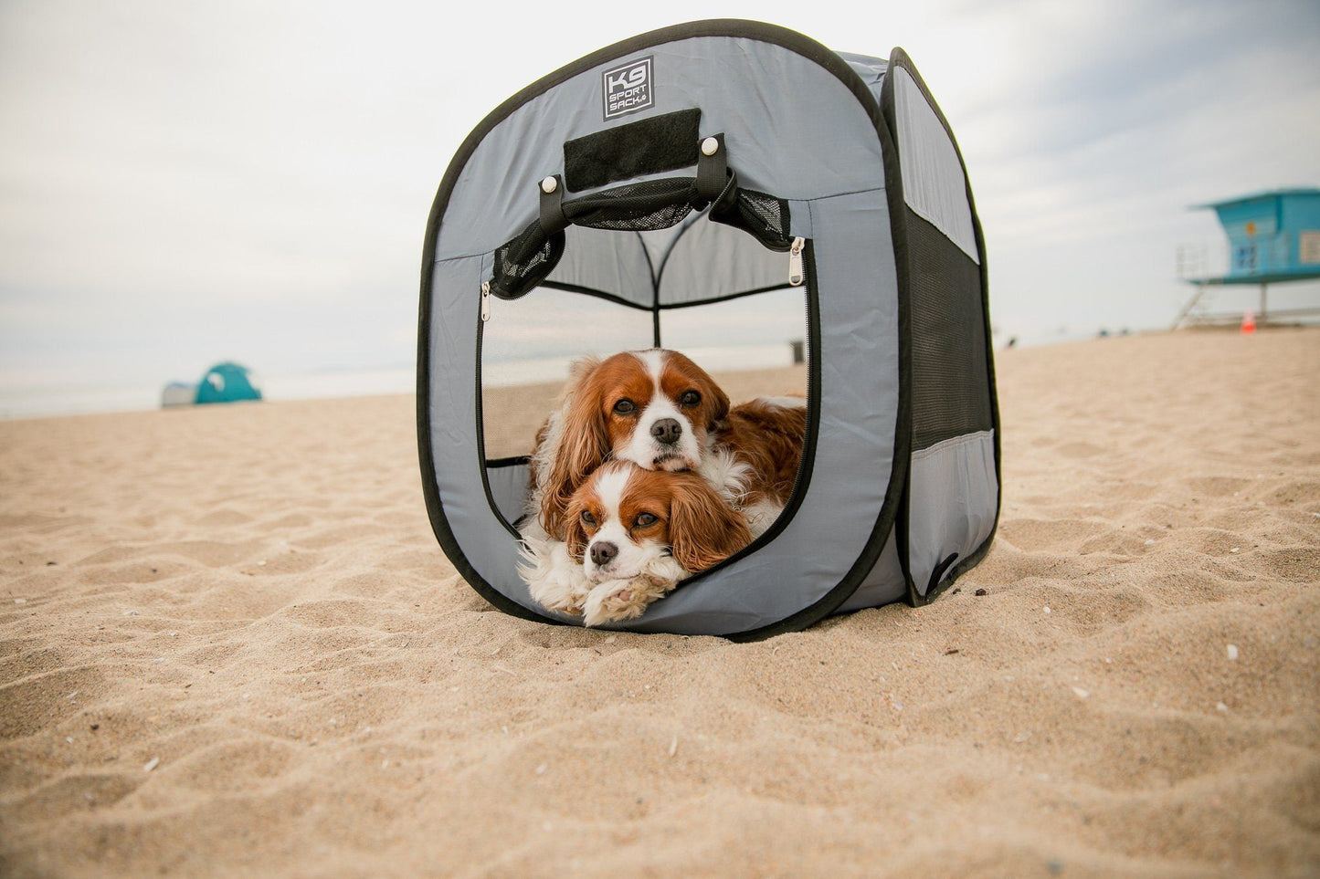 K9 Sport Sack K9 Kennel Pop-Up Dog Tent