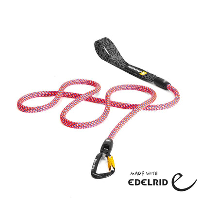 Tuenne Customizable Dog Leash