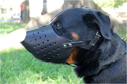 Muzzle for Immobilization