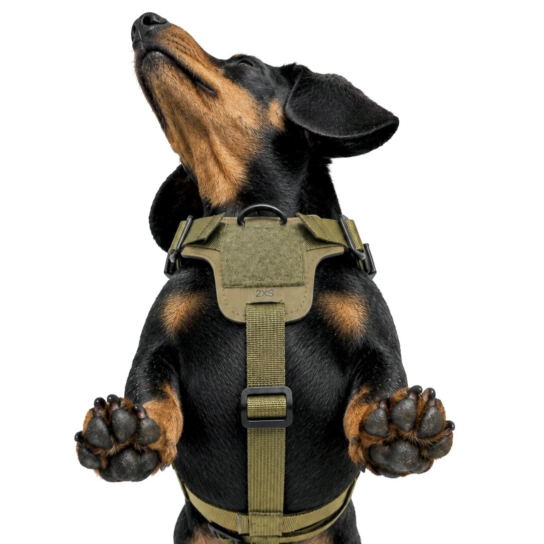 K9R - D5 MOLLE Light Harness