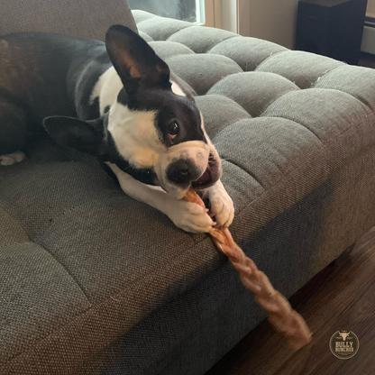 Bully Bunches 12 Inch Standard Braided Bully Stick