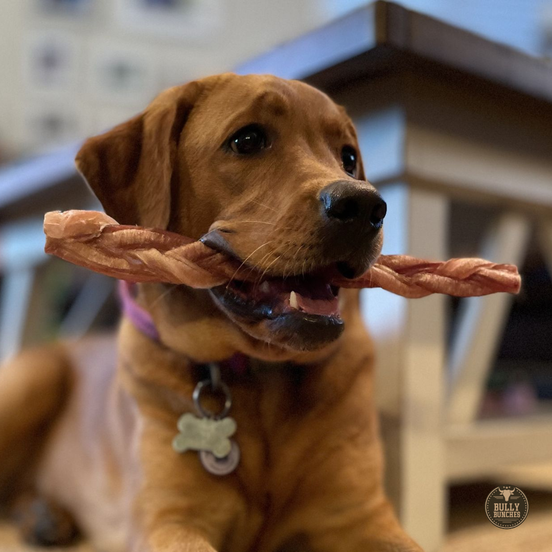 Bully Bunches 12 Inch Thick Braided Bully Stick