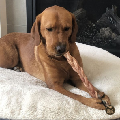Bully Bunches 12 Inch Thick Braided Bully Stick