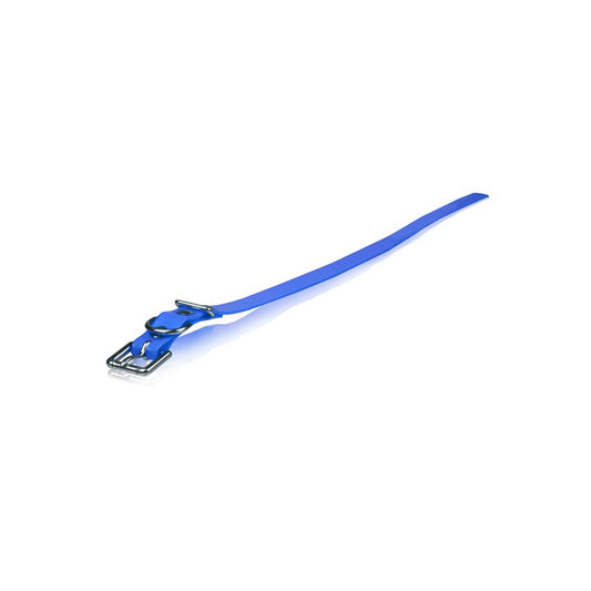 Dogtra Strap 3/4"X28" Blue