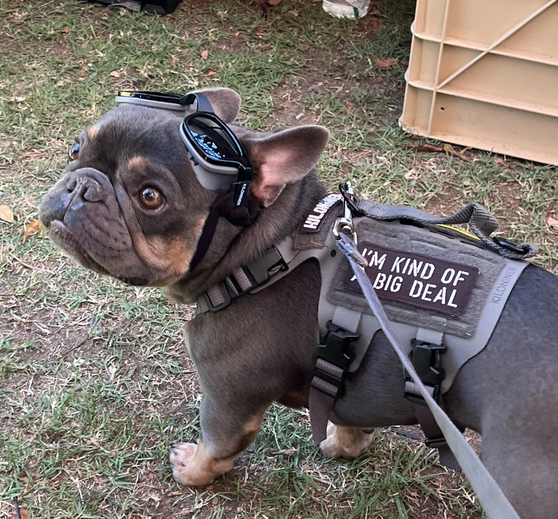 I'M KIND OF A BIG DEAL Morale Patch