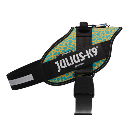Limited Edition IDC® Powerharness
