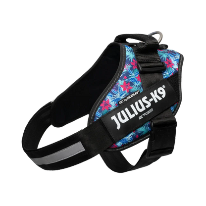 Limited Edition IDC® Powerharness