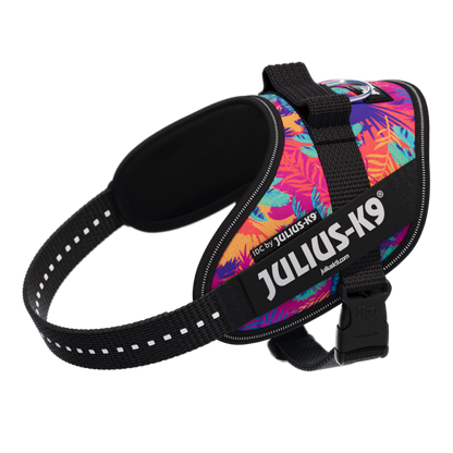 Limited Edition IDC® Powerharness