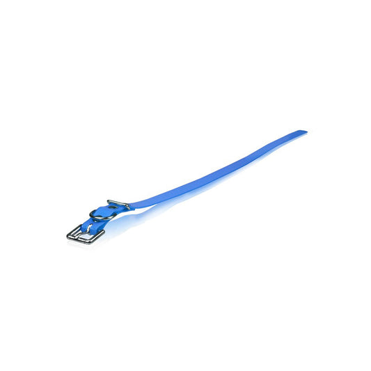 Dogtra Strap 3/4"X32" Blue