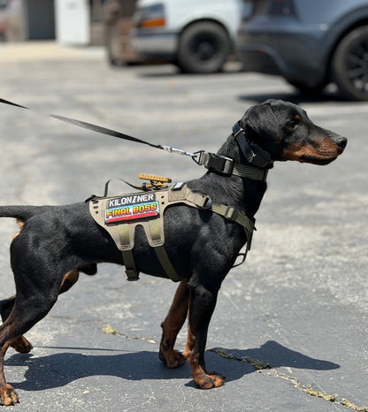 K9R - D5 MOLLE Light Harness