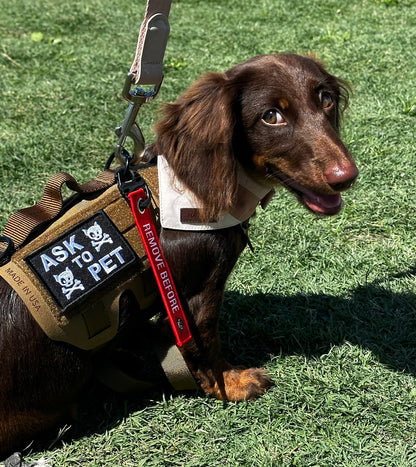 Key Chain Tag - Remove Before Poop