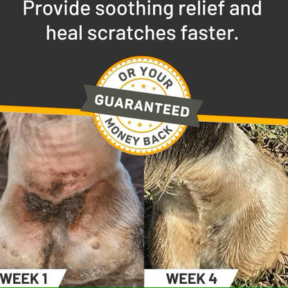 Absorbine Silver Honey Rapid Skin Relief Vet Strength Scratches Spray for Horses