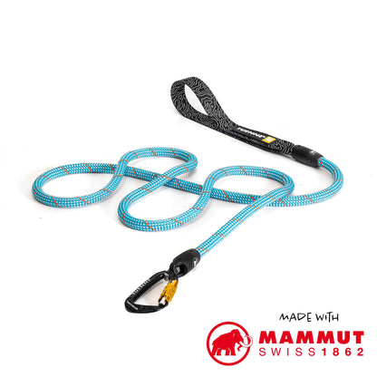 Tuenne Customizable Dog Leash
