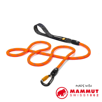 Tuenne Customizable Dog Leash