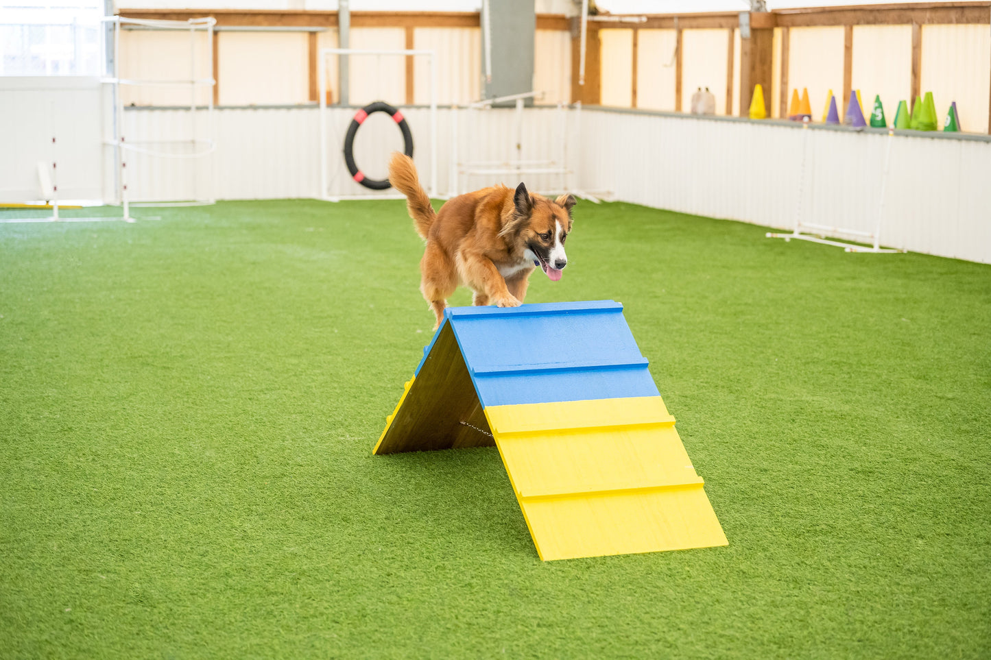 Better Sporting Dogs Dog Agility A-Frame – Arrives Fully Assembled