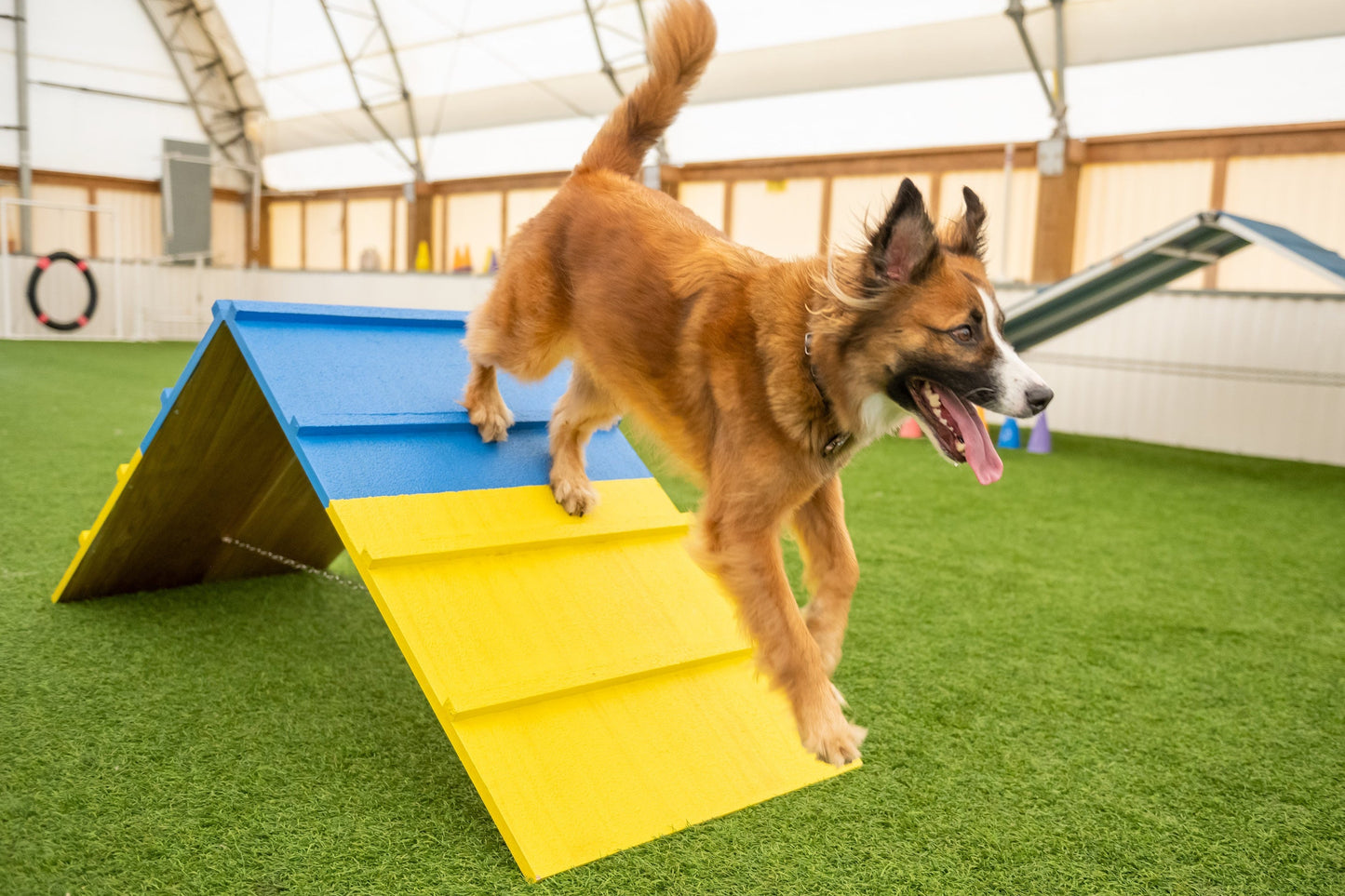 Better Sporting Dogs Dog Agility A-Frame – Arrives Fully Assembled
