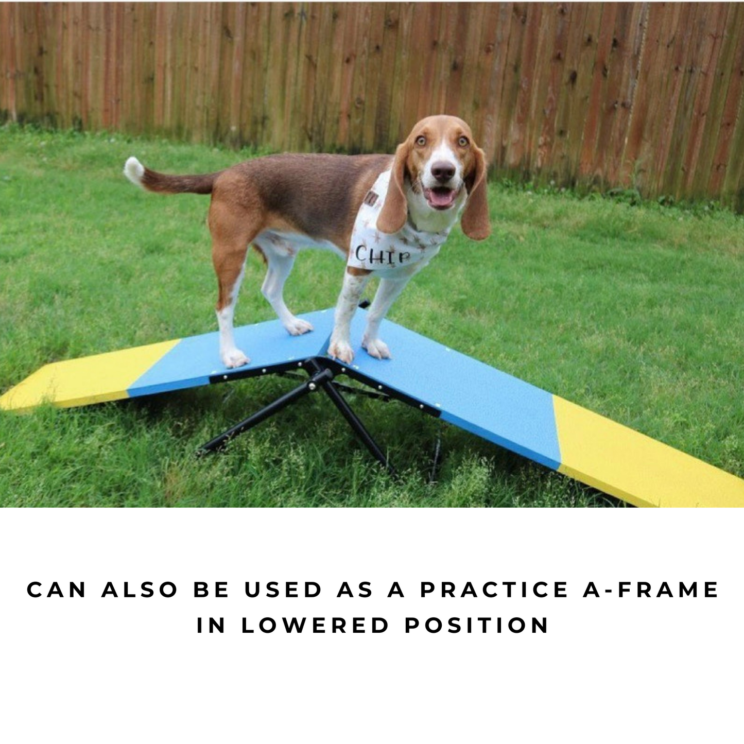 Practice See Saw