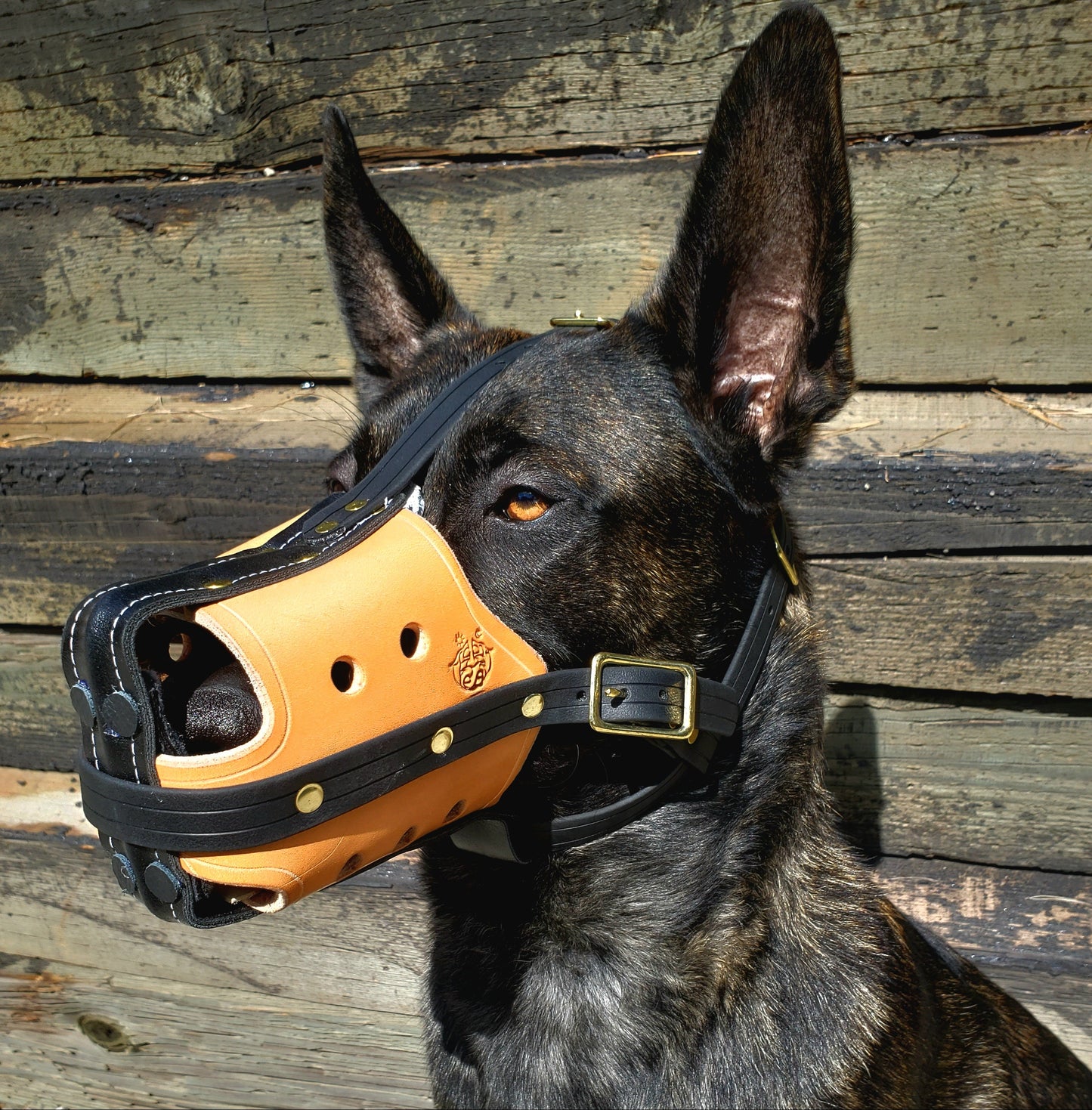 SKÖLLHATI LEATHER MUZZLE