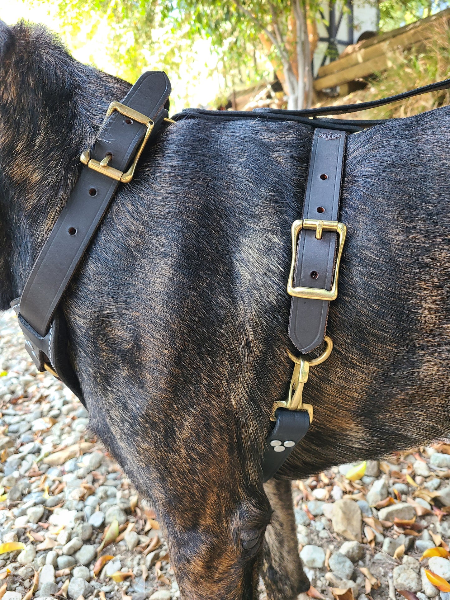 SKÖLLHATI DARK LEATHER AGITATION HARNESS