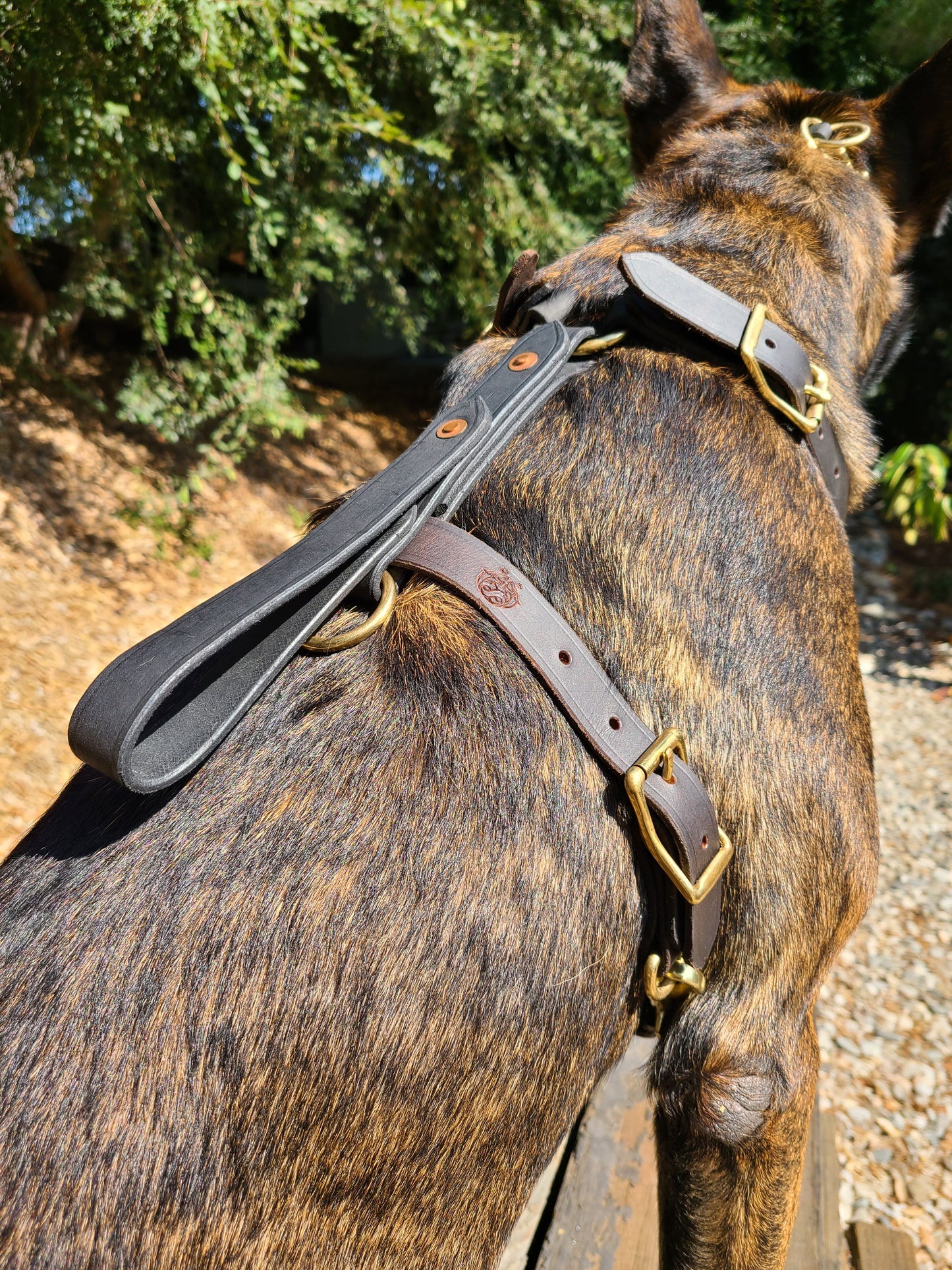 SKÖLLHATI DARK LEATHER AGITATION HARNESS