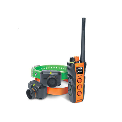 Dogtra T&B DUAL 2-DOG