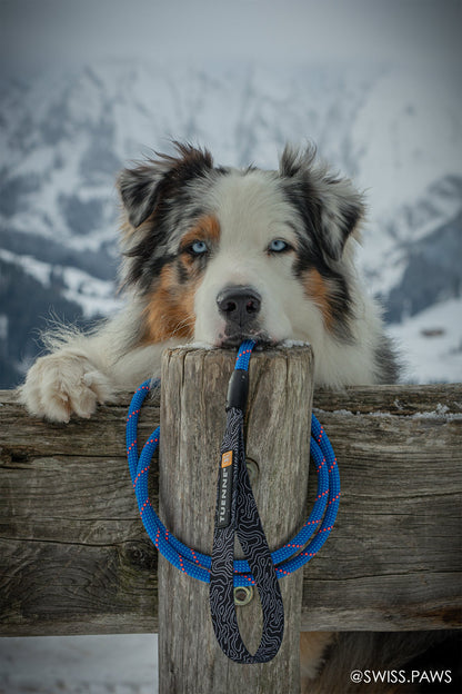 Tuenne Customizable Dog Leash