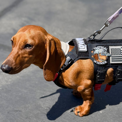 Tactical Wiener NVG Morale Patch