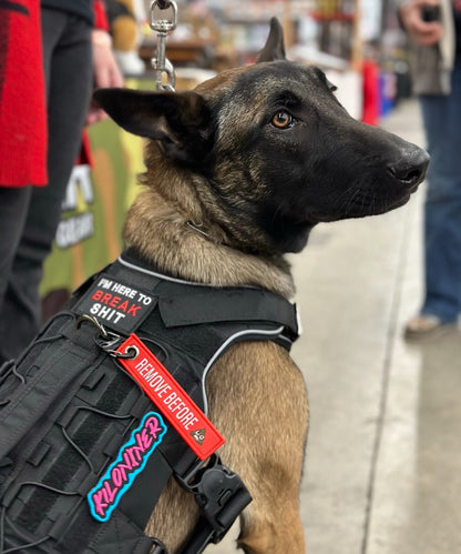 Key Chain Tag - Remove Before Poop