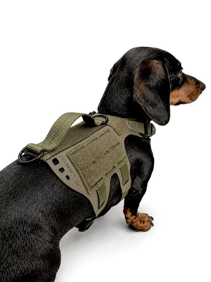 K9R - D5 MOLLE Light Harness